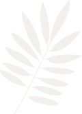 shape-3